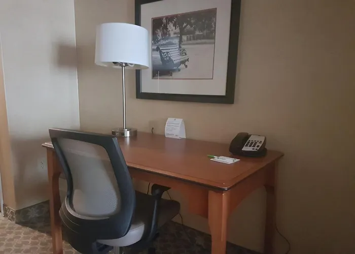 Hotel Express & - Area